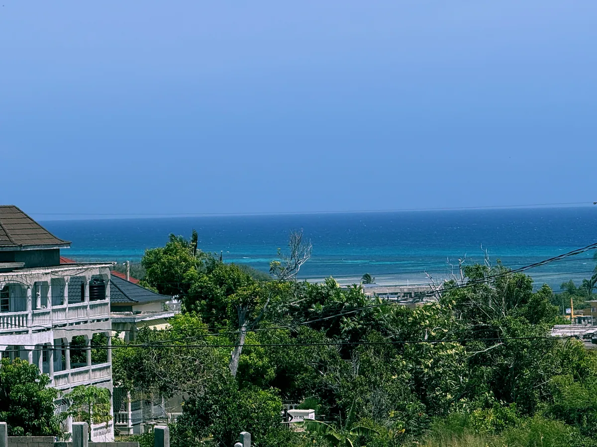 Rooftops and the reef from Seaview Avenue